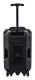 Denver TSP-120 - Głośnik imprezowy Bluetooth z mikrofonem