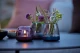 Kooduu - Lampa oliwna i świecznik LED Glow 08, Purpurowy - 2w1